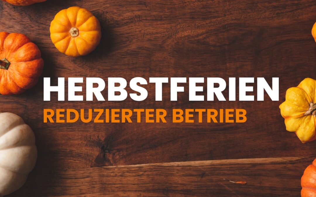 VIACID AG – Herbstferien